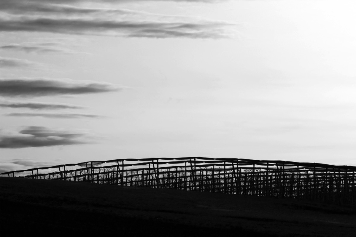 Stacks Image 4