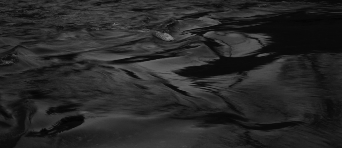 Stacks Image 4