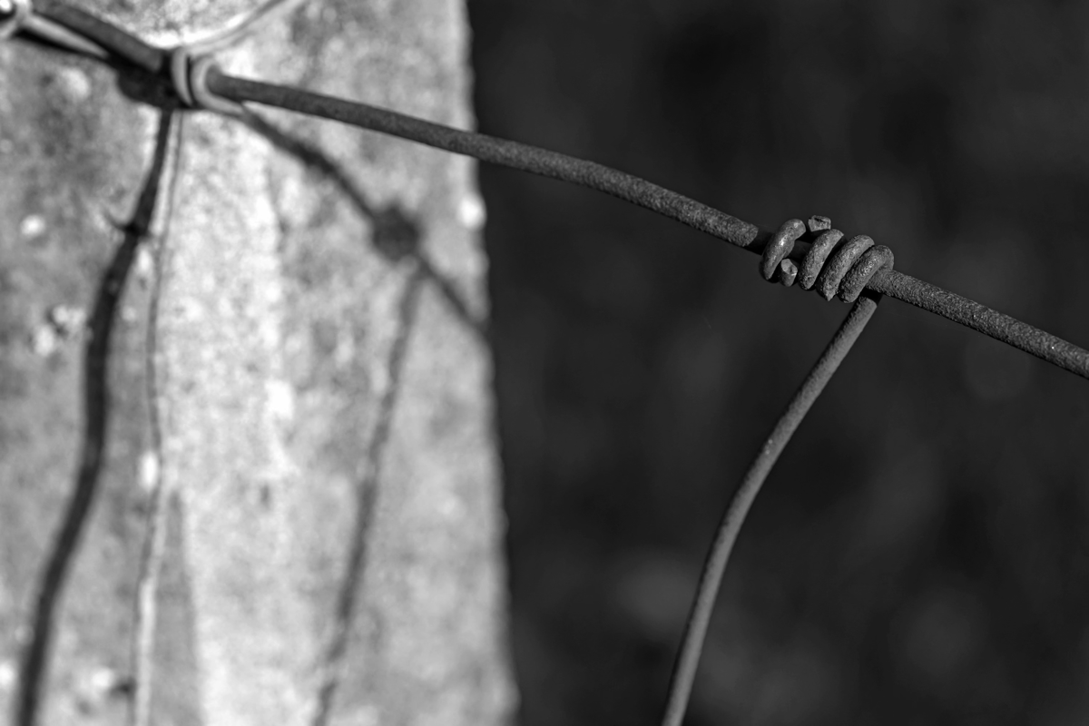 Stacks Image 4