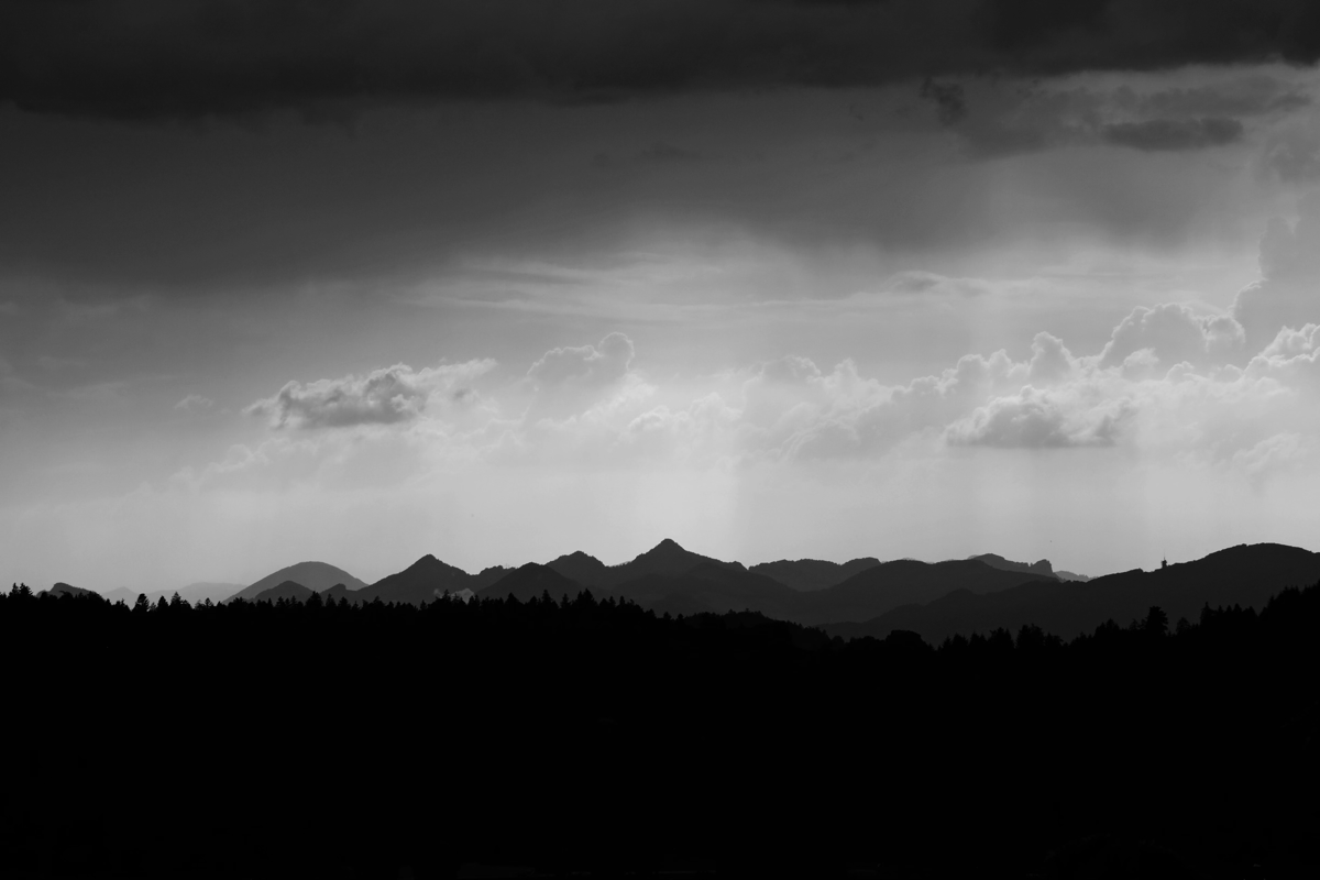 Stacks Image 4