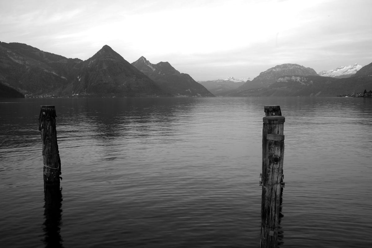 Stacks Image 4